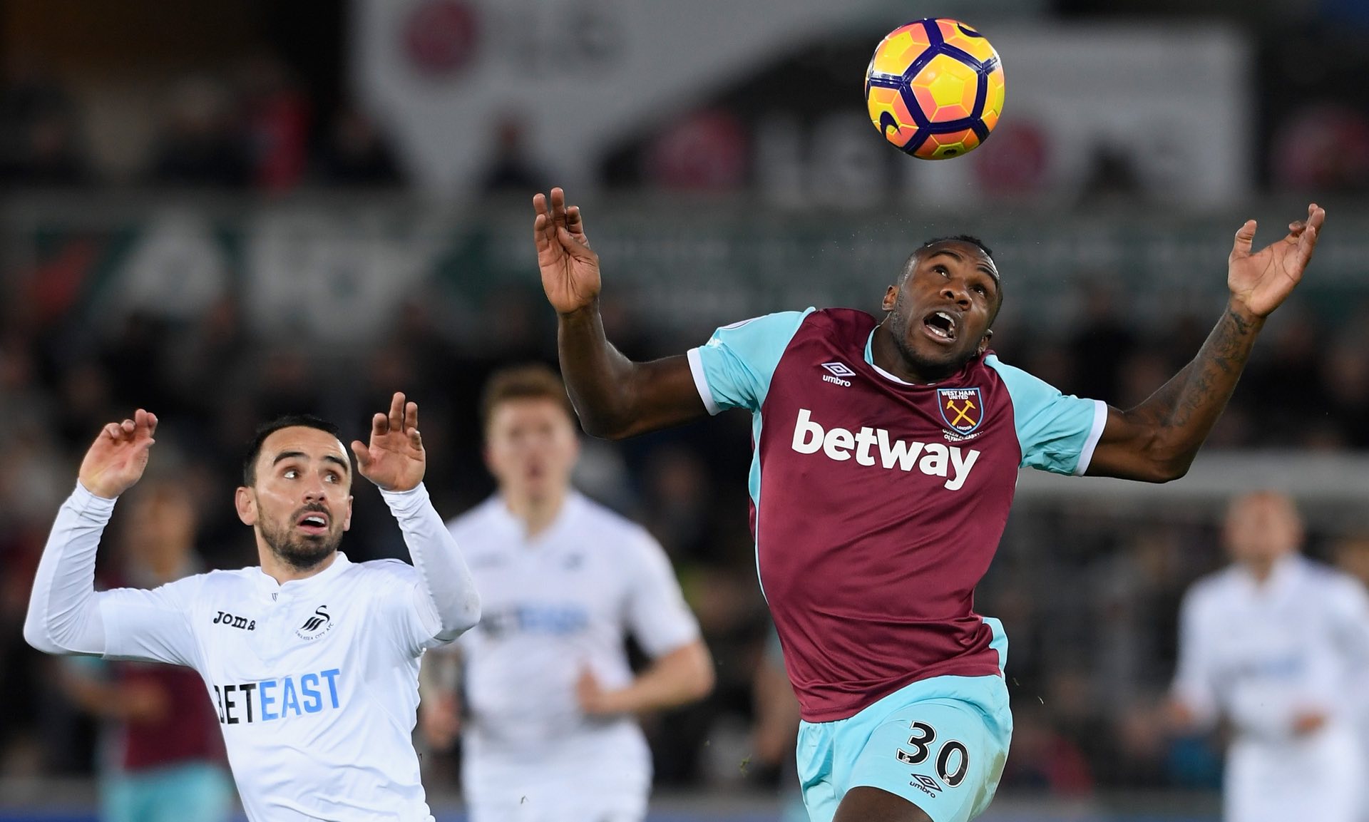 显著的成果 显著的成果